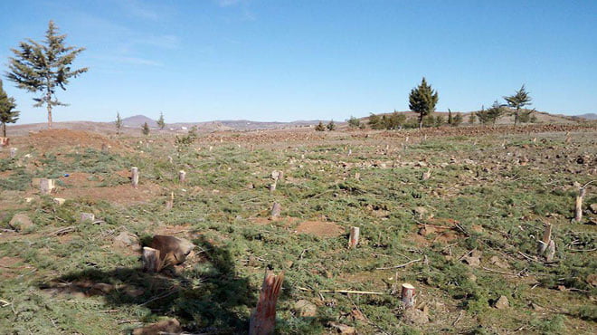 مذكرات في الجنوب