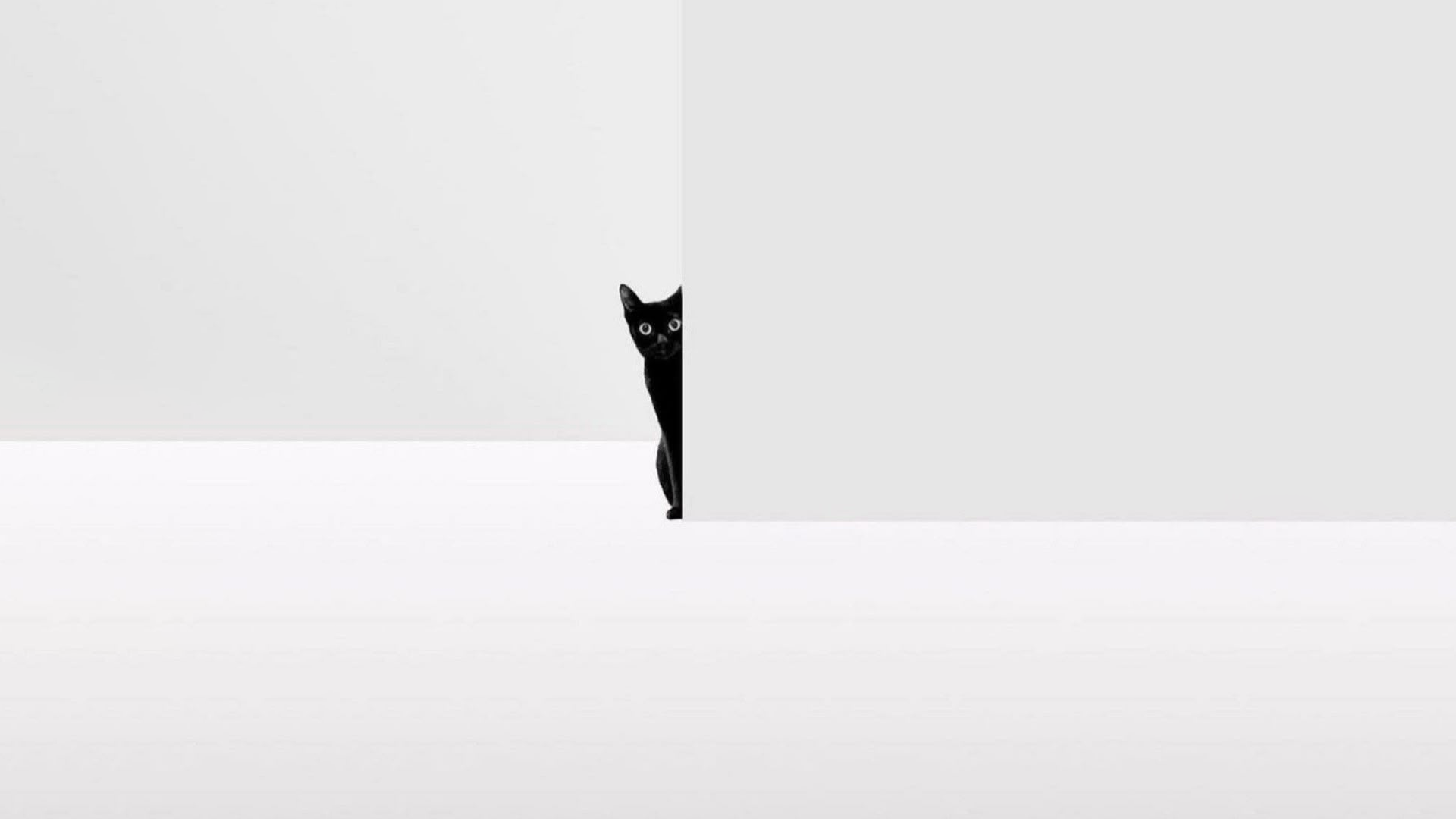 لماذا تفشل أغلب العلامات العربية في بناء هوية تنافس عالمياً؟